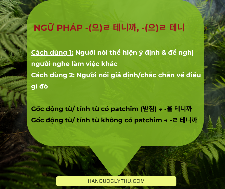 -(으)ㄹ 테니까, -(으)ㄹ 테니