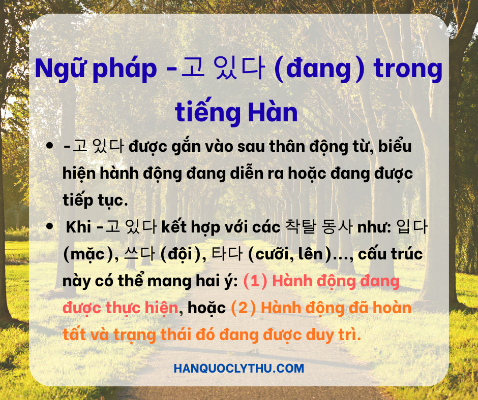 Ngữ pháp -고 있다 (đang) trong tiếng Hàn: Cách dùng, ví dụ, hội thoại và bản dịch chi tiết
