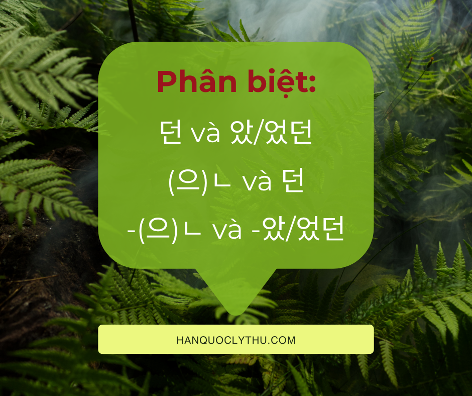 던 và 았/었던