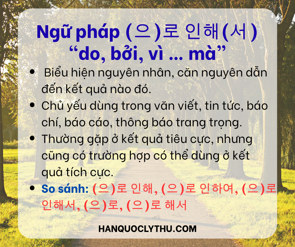 Ngữ pháp (으)로 인해(서)