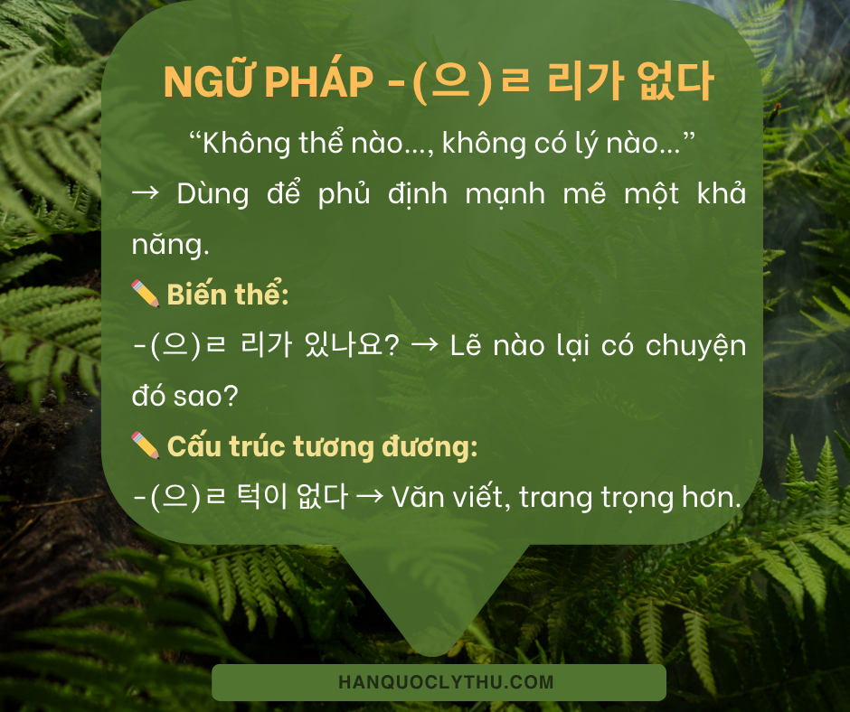 Hiểu kỹ ngữ pháp -(으)ㄹ 리가 없다 Không lý nào! - Diễn đạt sự phủ định mạnh ...