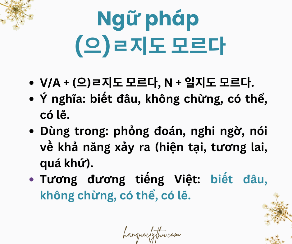 (으)ㄹ지도 모르다