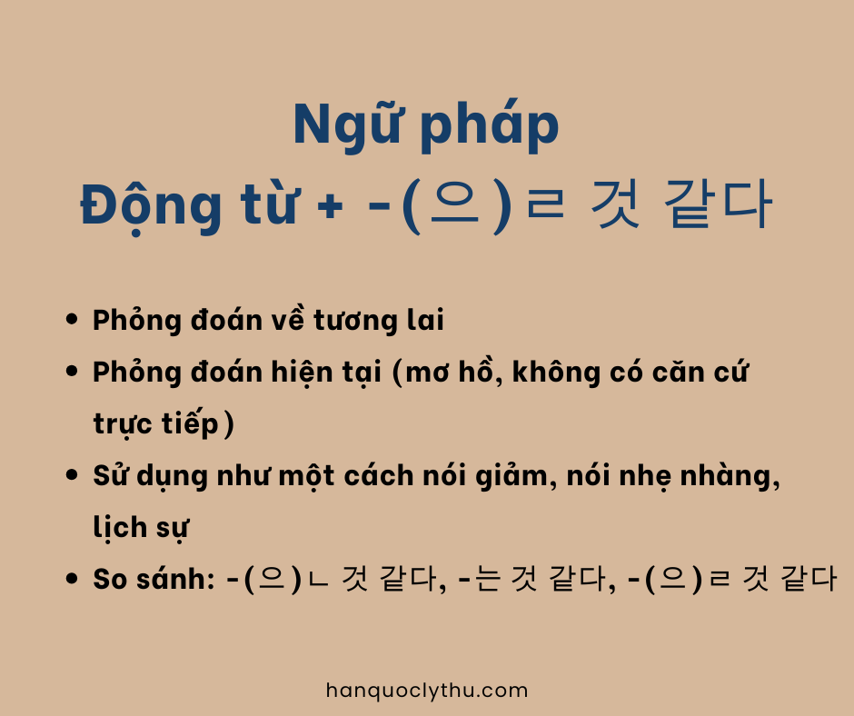 (으)ㄹ 것 같다