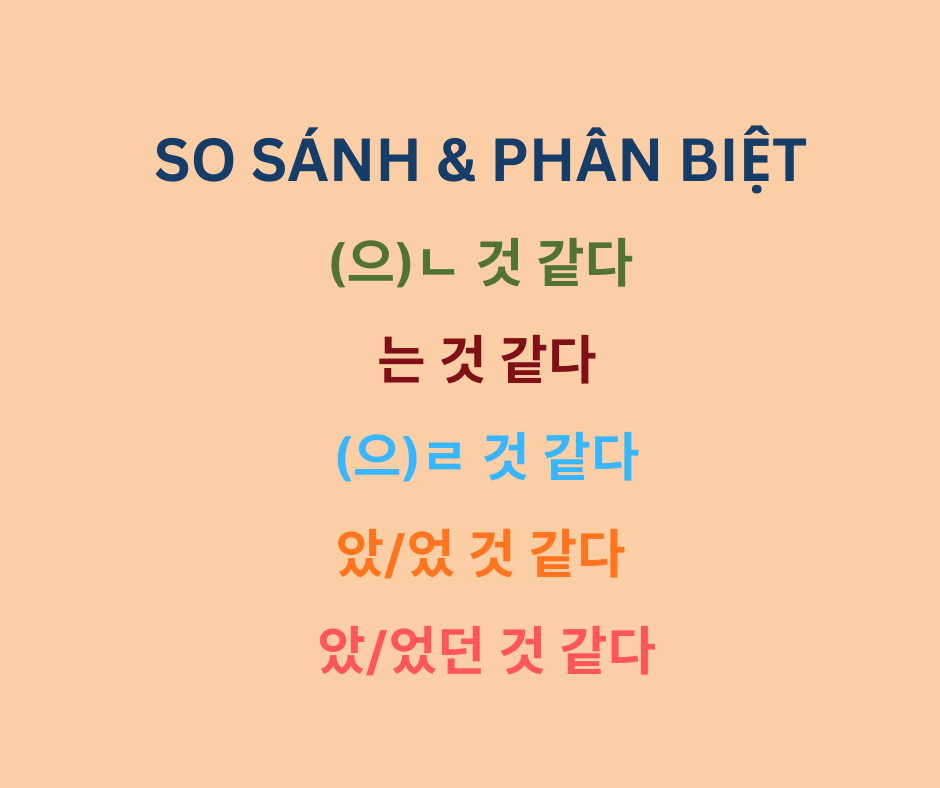 So sánh dễ hiểu (으)ㄴ 것 같다, 는 것 같다, (으)ㄹ 것 같다 - Mở rộng 았/었 것 같다 và 았/었던 것 같다