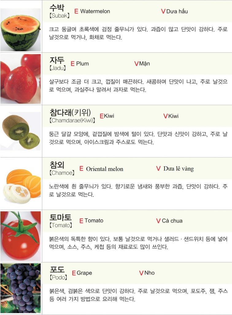 Luyện tập từ vựng trái cây tiếng Hàn