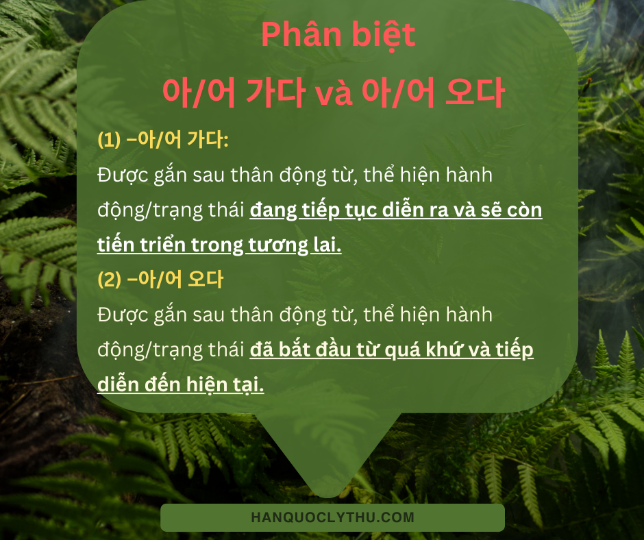 Phân biệt 아/어 가다 và 아/어 오다 trong tiếng Hàn: Ý nghĩa, cách dùng & ví dụ chuẩn