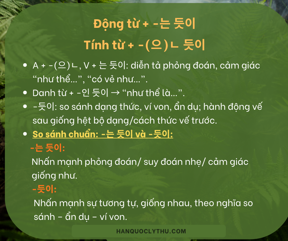 Cách dùng chuẩn -(으)ㄴ듯이, -는 듯이 và -듯이 (1) - Ví dụ và so sánh dễ hiểu