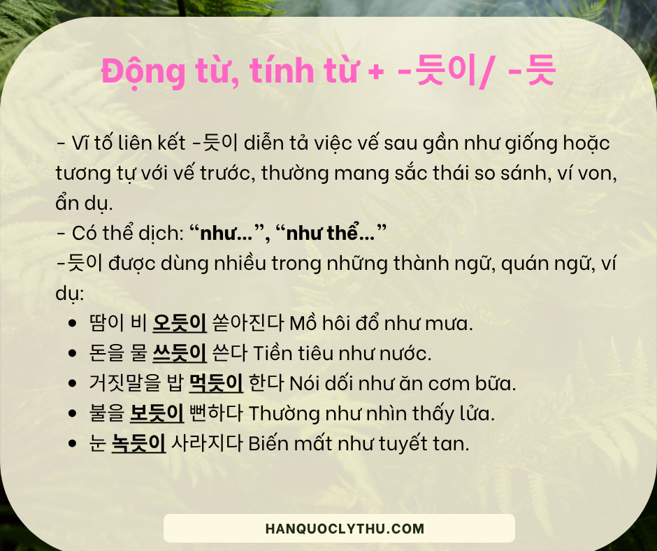Bài 4: Động từ, Tính từ + -듯이 /-듯 - So sánh với -는 듯이