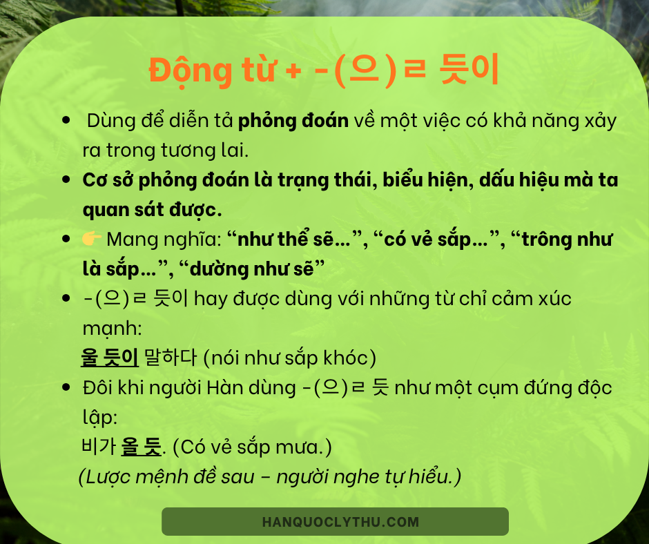 (으)ㄹ 듯이/ (으)ㄹ 듯