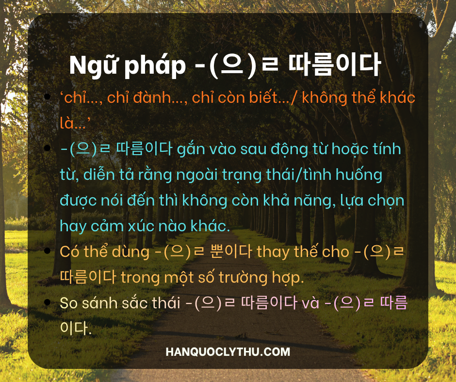 Ngữ pháp -(으)ㄹ 따름이다 l So Sánh với -(으)ㄹ 뿐이다 - Hiểu Ngay Sắc Thái Khác Biệt