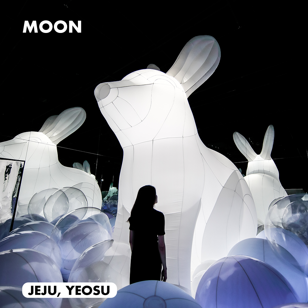 아르떼뮤지엄 제주와 여수에서 볼 수 있는 또 다른 미디어 아트 전시 <문(Moon)>은 관람객들에게 인기 있는 포토존 중 하나이다. 높이 4m의 토끼 모형이 거울을 통해 무한히 확장하면서 색다른 시각적 재미를 선사한다. Triển lãm nghệ thuật truyền thông “Moon” (Mặt Trăng) đang trưng bày tại Bảo tàng ARTE ở Jeju và Yeosu là điểm chụp ảnh thu hút khách tham quan. Mô hình chú thỏ cao 4m được phóng to vô tận qua gương tạo cảm giác trực quan mới lạ. ⓒ 디스트릭트