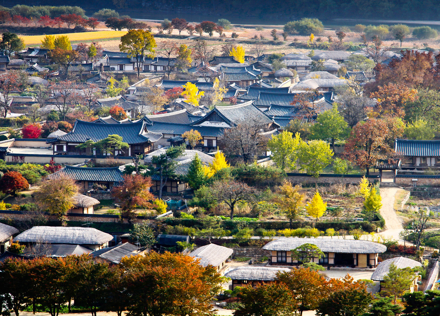 과거로의 여행: 하회마을 탐방 - Hành trình về quá khứ: Làng Hahoe - Hàn Quốc Lý Thú