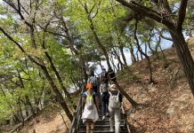 '등산 장비 빌리고 관광 안내 받고'···삼청동 '등산관광센터' 개관 - Leo núi giữa lòng thành phố Seoul