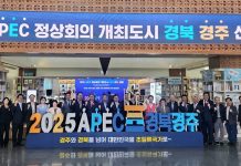 경주, APEC 정상회의 개최 도시 선정 - Thành phố Gyeongju được bình chọn là địa điểm tổ chức Hội nghị Cấp cao APEC lần thứ 32
