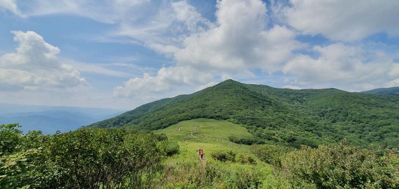 ▲ 강원도 인제군 곰배령 생태숲. Rừng sinh thái Gombaeryeong, quận Inje-gun, tỉnh Gangwon-do. (Ảnh: Tổng cục Lâm nghiệp Hàn Quốc)