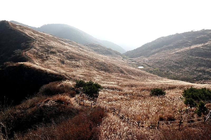 ▲ 창년군의 화왕산 전경. Núi Hwawangsan thuộc huyện Changnyeong-gun, tỉnh Gyeongsangnam-do. (Ảnh: Văn phòng huyện Changnyeong-gun)
