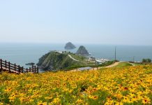 한국 잇는 ‘코리아둘레길’ 4500km 전 구간 완성 - Hàn Quốc mở hoàn thành tuyến đường bộ ven biển Korea Dulle dài 4.500 km