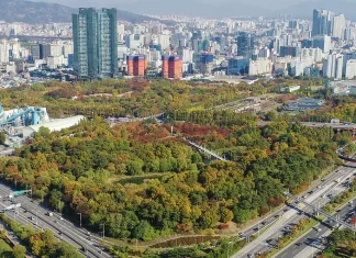 서울숲 공원 - Công viên rừng Seoul