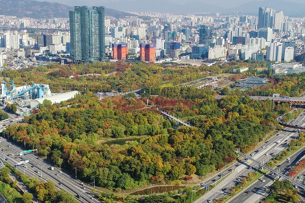 서울숲 공원 - Công viên rừng Seoul