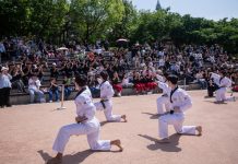 문체부, 태권도 ‘K-문화자산’으로 키운다 - Hàn Quốc phát triển bộ môn Taekwondo như một tài sản văn hóa quốc gia