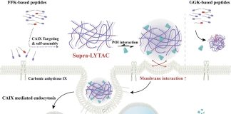 UNIST, 암 면역 회피 단백질 분해 기술 개발- 암 치료 효과 – Nhóm nghiên cứu Hàn Quốc phát triển công nghệ tăng hiệu quả điều trị ung thư UNIST, 암 면역 회피 단백질 분해 기술 개발···"암 크기 절반 이하로 " - Nhóm nghiên cứu Hàn Quốc phát triển công nghệ tăng hiệu quả điều trị ung thư