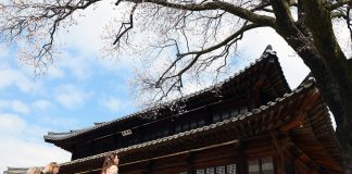 서울시·경기도 ‘외국인 여행자보험’ 운영 – Thành phố Seoul và tỉnh Gyeonggi-do sẽ triển khai bảo hiểm du lịch cho du khách nước ngoài 서울시·경기도 '외국인 여행자보험' 운영 - Thành phố Seoul và tỉnh Gyeonggi-do sẽ triển khai bảo hiểm du lịch cho du khách nước ngoài