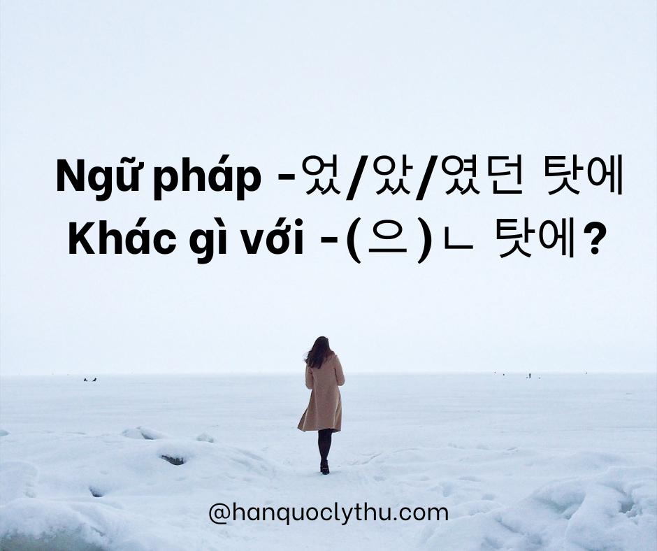 Ngữ pháp -었/았/였던 탓에 - Khác gì với -(으)ㄴ 탓에?