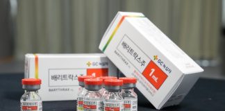 한국, 세계 첫 유전자 재조합 탄저백신 개발···”국가 공중보건 안전망 구축” – Các nhà khoa học Hàn Quốc phát triển vắc xin tái tổ hợp phòng bệnh than đầu tiên trên thế giới 한국, 세계 첫 유전자 재조합 탄저백신 개발···"국가 공중보건 안전망 구축" - Các nhà khoa học Hàn Quốc phát triển vắc xin tái tổ hợp phòng bệnh than đầu tiên trên thế giới