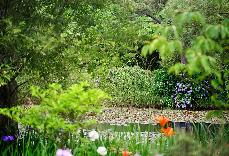 Vườn thực vật Cheollipo Arboretum