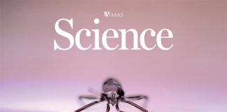 한국 연구진, 물 위 걷는 소금쟁이 비밀 규명···초소형 로봇으로 구현 Các nhà khoa học Hàn Quốc đã giải mã bí mật của loài bọ nước có khả năng “đi trên mặt nước” và lần đầu tiên trên thế giới chế tạo robot siêu nhỏ mô phỏng đặc tính này 한국 연구진, 물 위 걷는 소금쟁이 비밀 규명···초소형 로봇으로 구현 Các nhà khoa học Hàn Quốc đã giải mã bí mật của loài bọ nước có khả năng “đi trên mặt nước” và lần đầu tiên trên thế giới chế tạo robot siêu nhỏ mô phỏng đặc tính này