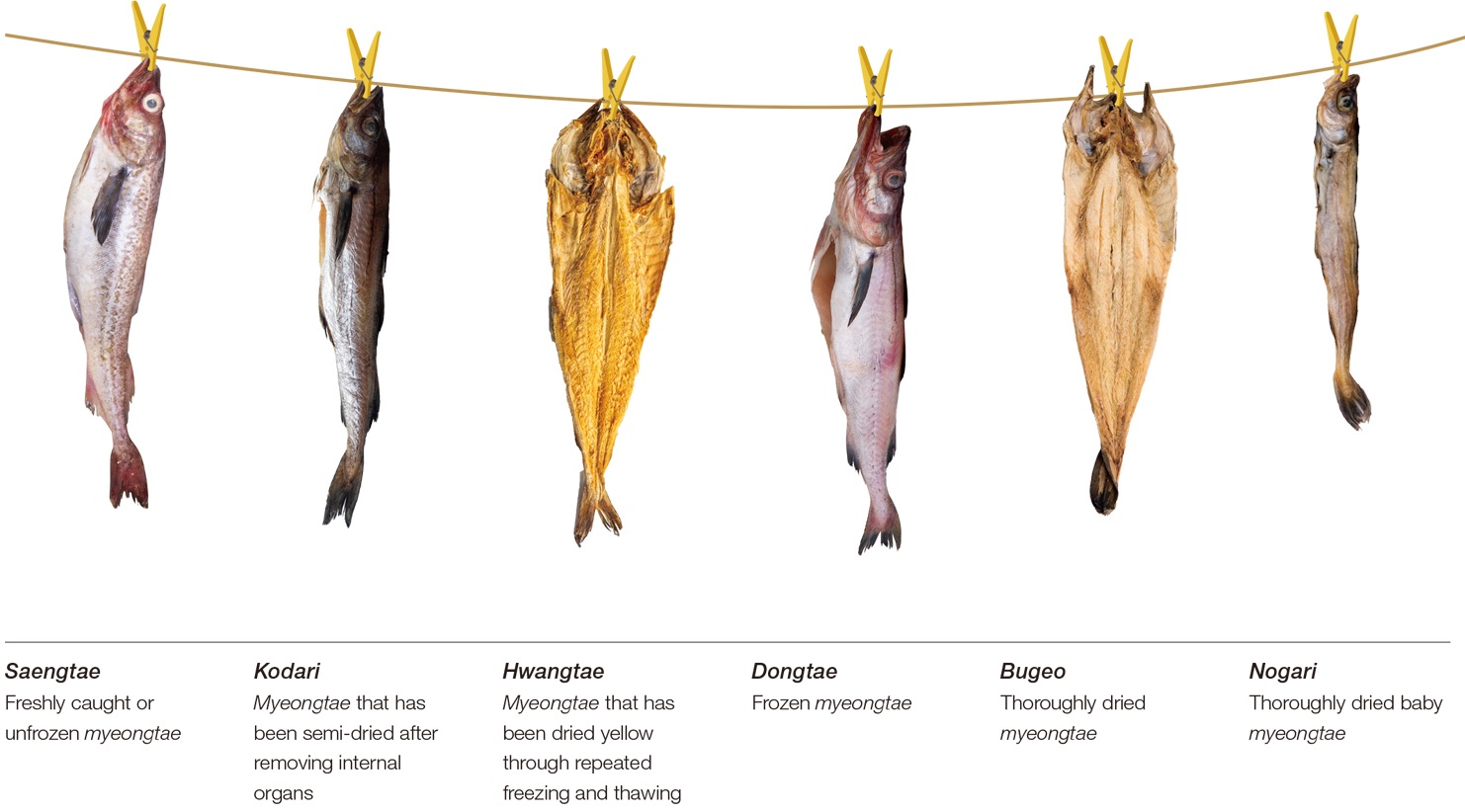 Dried Delicacy
