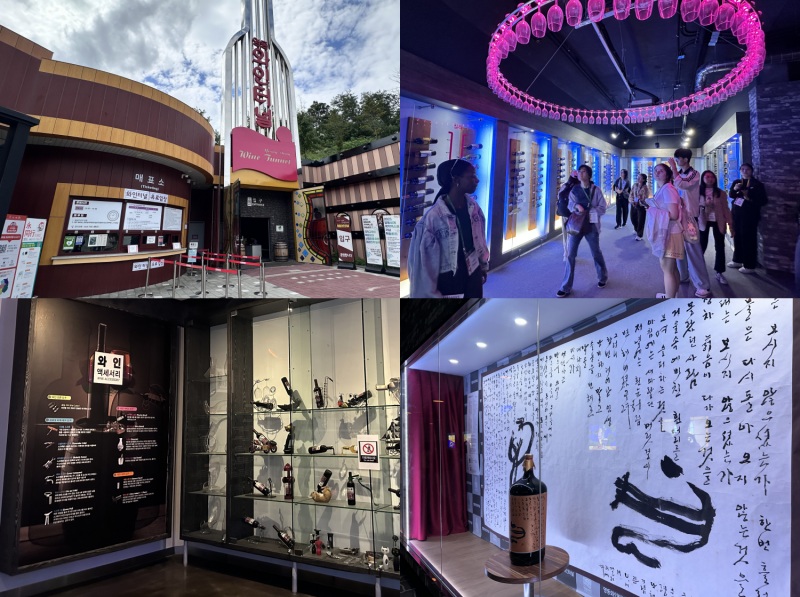 Wine Tunnel - đường hầm rượu vang ở huyện Yeongdong-gun (tỉnh Chungcheongbuk-do). (Ảnh: Phạm Thị Mỹ Hạnh)