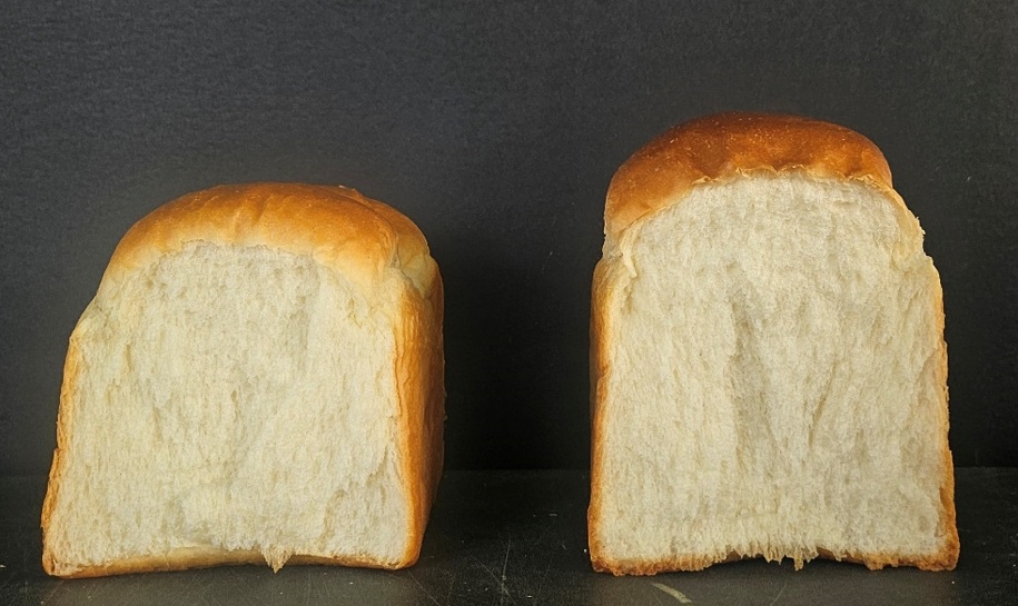 ▲ 농촌진흥청이 국내 최초로 '세대단축 육종기술(스피드 브리딩)'을 활용해 제빵용 밀 품종 '이룸'을 개발했다. 사진은 '이룸'(오른쪽)과 '백강'의 제빵을 비교한 모습. Cục Phát triển Nông thôn Hàn Quốc (RDA) đã phát triển giống lúa mì “Irum” với công nghệ nhân giống nhanh. Ảnh phải là bánh mì làm từ giống lúa mì “Irum” và ảnh trái là bánh mì làm từ giống lúa mì “Baekkang”. (Ảnh: Cục Phát triển Nông thôn Hàn Quốc)