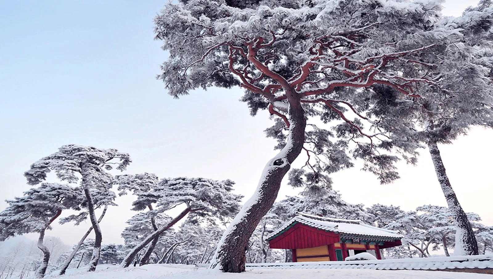 Nằm dọc theo sông Geumgang, **bến phà Gomanaru** được xem là **nơi khai sinh của vùng Gongju**.
