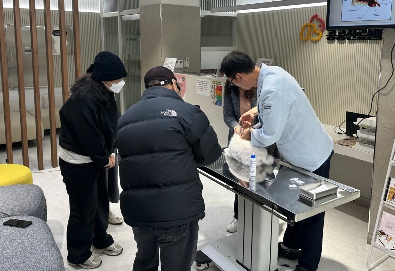 ▲ 경기도 김포시 반려동물 공공진료센터 의료진이 한 반려견을 진료하고 있다. Y bác sĩ tại Trung tâm khám chữa bệnh công cộng dành cho thú cưng ở thành phố Gimpo, tỉnh Gyeonggi đang điều trị cho một chú chó. (Ảnh: Trung tâm khám chữa bệnh công cộng dành cho thú cưng thành phố Gimpo - 김포시 반려동물 공공진료센터)