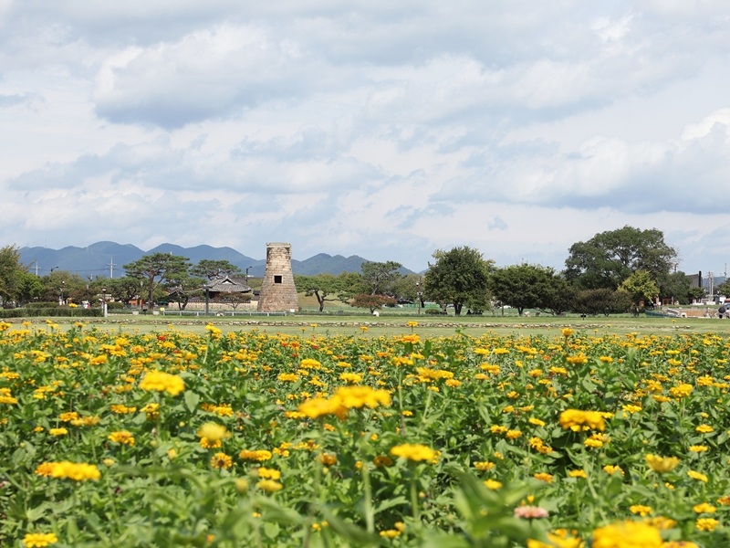 ▲ 경주 첨성대. Đài thiên văn Cheomseongdae tại Gyeongju. (Ảnh: Park Daejin / Korea.net - 박대진 기자)