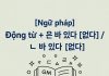 [Ngữ pháp] Động từ + 은 바 있다 [없다] / ㄴ 바 있다 [없다]
