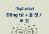 Động từ + 을 것 / ㄹ 것