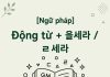 Động từ + 을세라 / ㄹ세라
