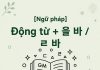 [Ngữ pháp] Động từ + 을 바 / ㄹ 바