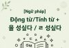 [Ngữ pháp] Động từ/Tính từ + 을 성싶다 / ㄹ 성싶다