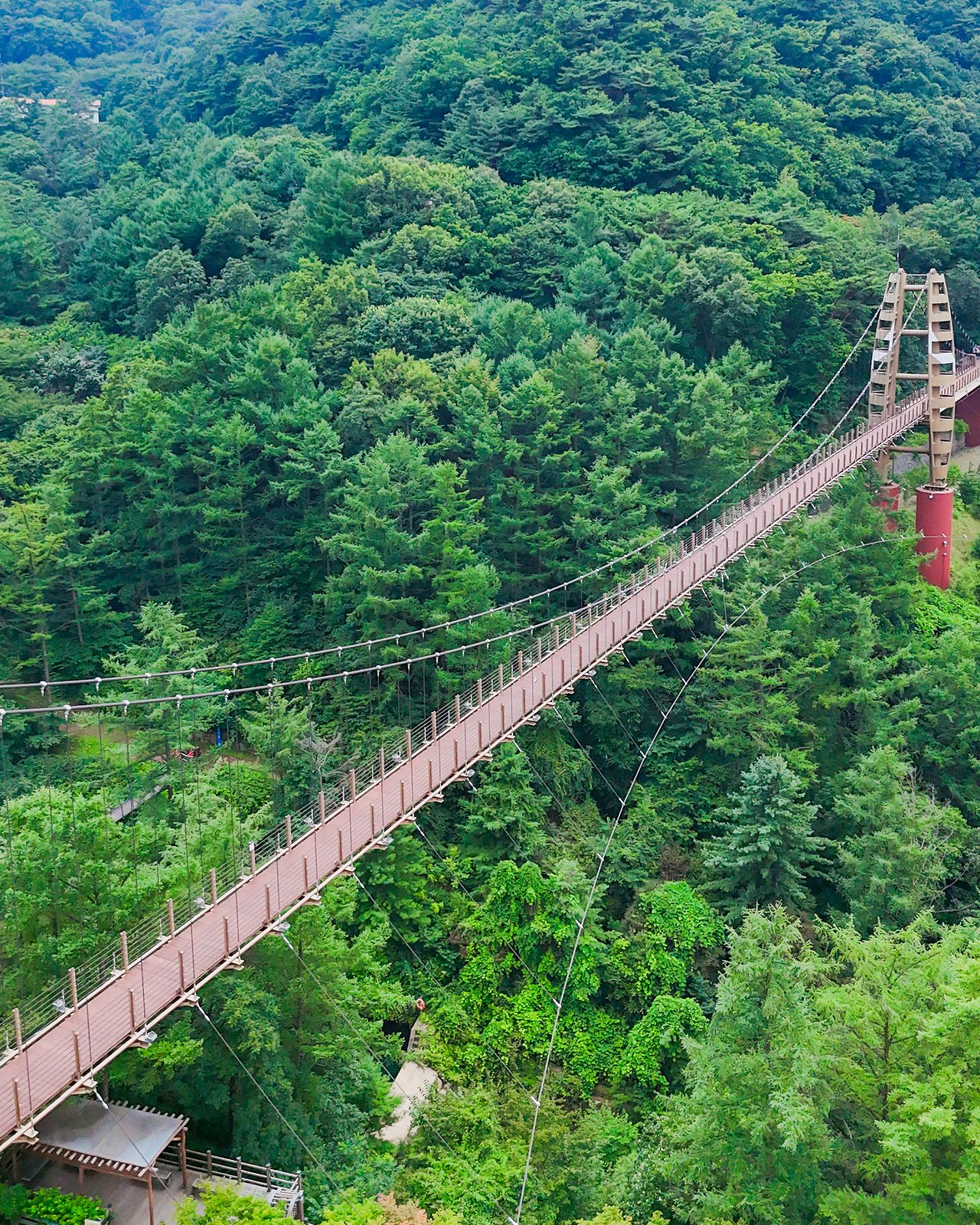 좌구산 명상구름다리2