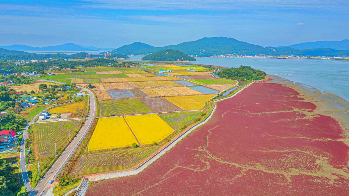 819571706 1411477327722291 7130268659294583826 n