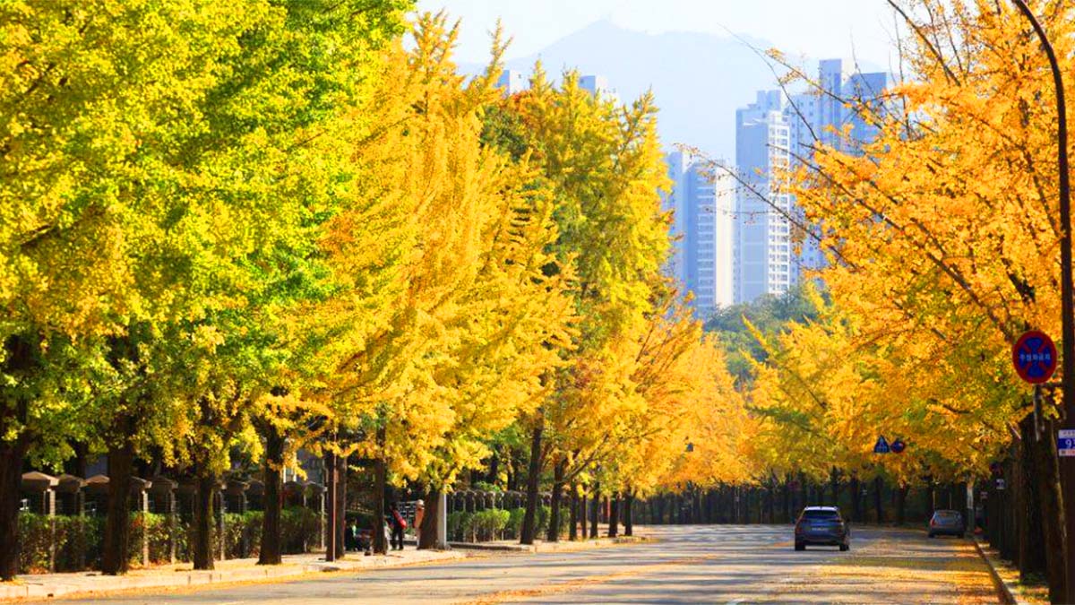 825353306 1415533817316642 2945978381724045153 n