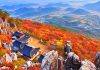 #전라남도 #규봉암 – Ngôi chùa nghìn năm tuổi trên vách núi – “Đứng ở độ cao 870m giữa những cột đá khổng lồ” 828895985 1416409717229052 170972706644904201 n