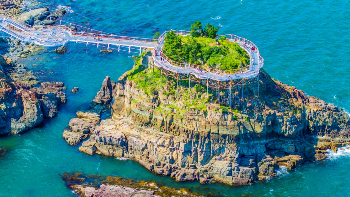 829786562 1417356997134324 8383576768689038062 n