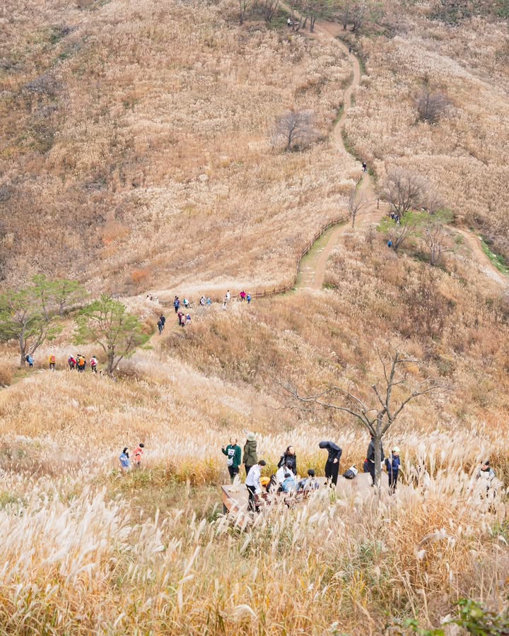 830670205 1420101776859846 4317437717287586133 n