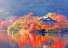 #경상남도 #위양지 – Hồ nước mùa thu đẹp như tranh, miễn phí vé vào cửa và bãi đỗ xe tại 밀양시 846705026 1430170972519593 2811553976160075365 n