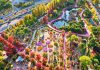 #대전 Ngắm 70 triệu bông hoa cúc tại lễ hội hoa mùa thu ở Daejeon (대전 유성국화축제) 849589329 1430768309126526 2518591096535722733 n