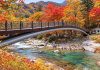 #경상남도 대원사계곡길 – Tản bộ giữa rừng phong mùa thu và ngôi chùa nghìn năm tuổi ở Jirisan (지리산) 855339902 1432481465621877 5541760427065925032 n